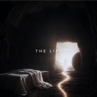 The Life cover art